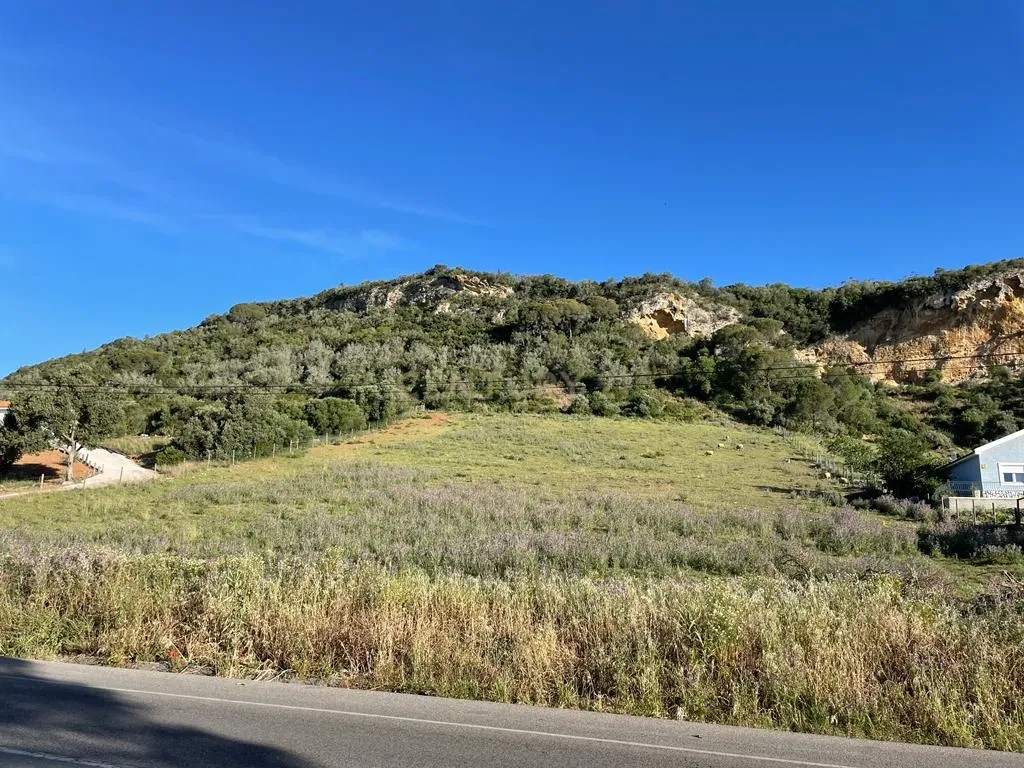 Terreno - Image 8