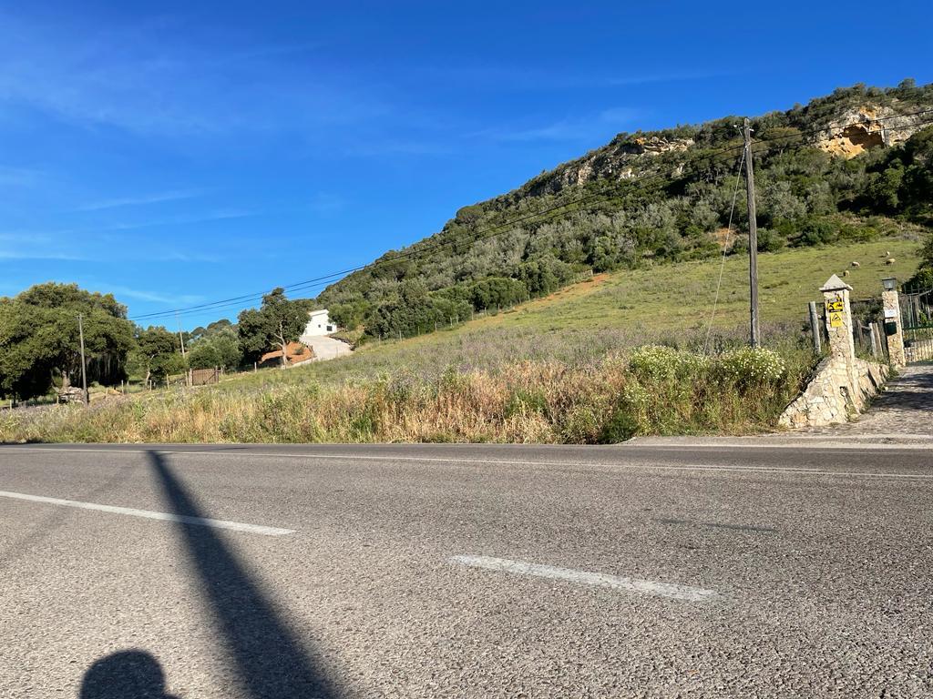 Terreno - Image 5