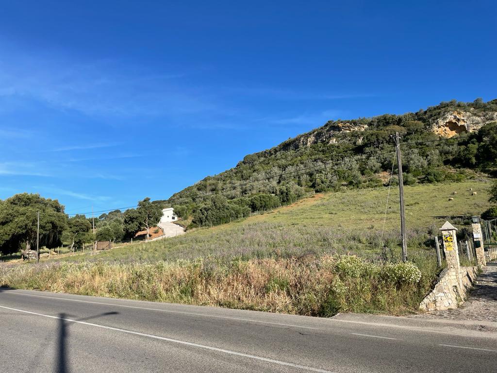 Terreno - Image 6