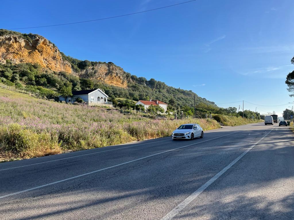 Terreno - Image 10