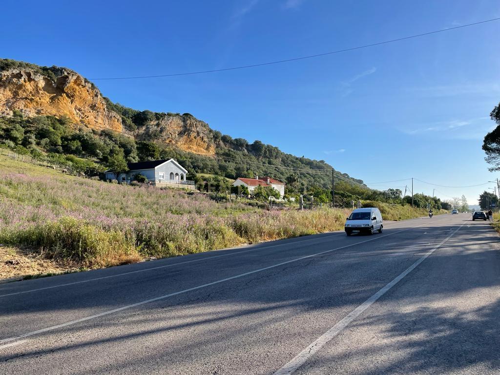 Terreno - Image 9