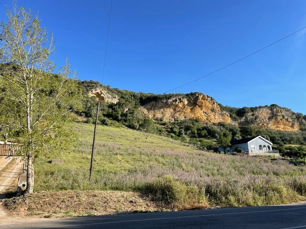 Terreno - Image 11