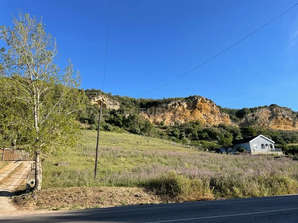 Terreno - Image 7