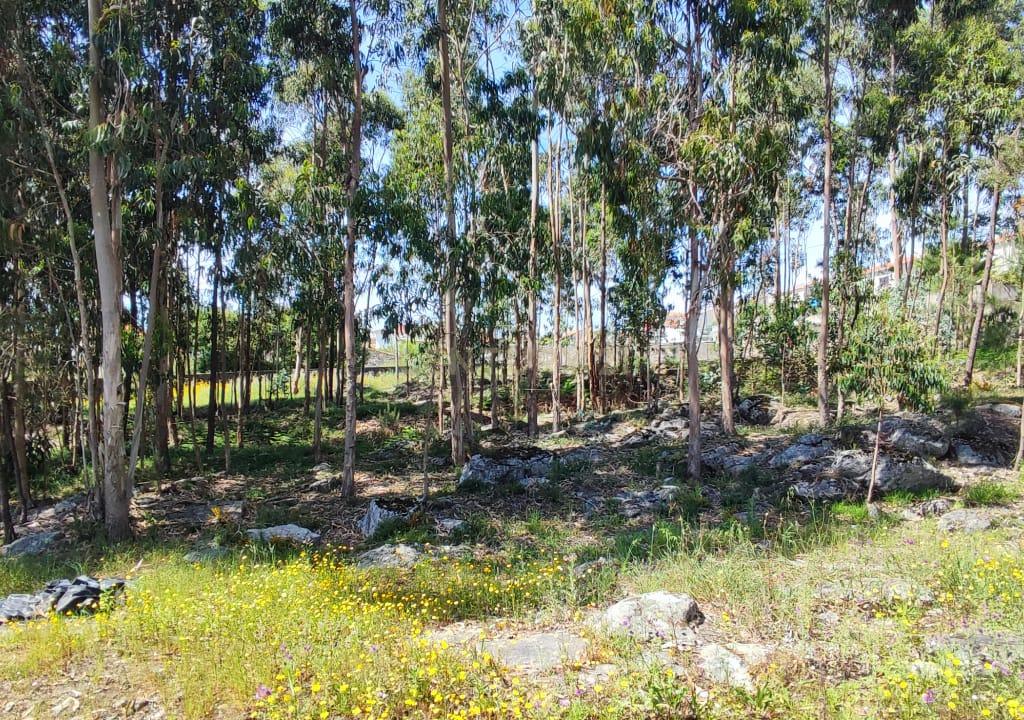 Terreno Urbano em Braga - Oportunidade Única de Construção - Image 13