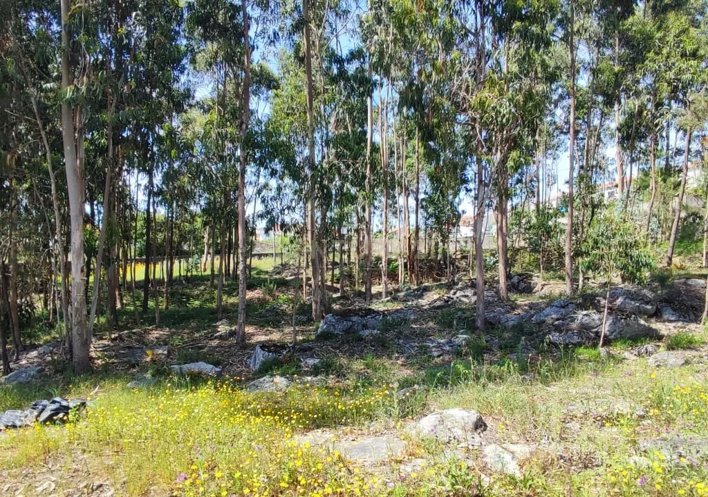 Terreno Urbano em Braga - Oportunidade Única de Construção - Image 13