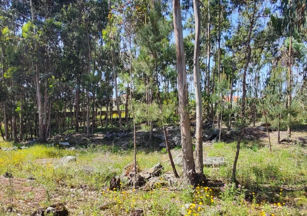 Terreno Urbano em Braga - Oportunidade Única de Construção - Image 15