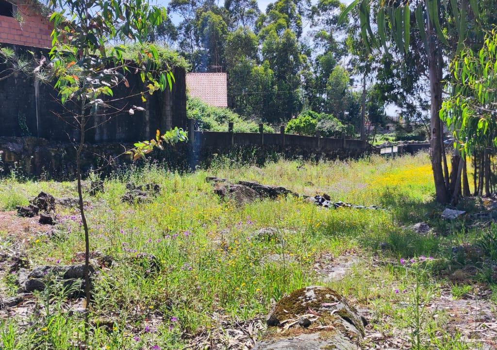 Terreno Urbano em Braga - Oportunidade Única de Construção - Image 16