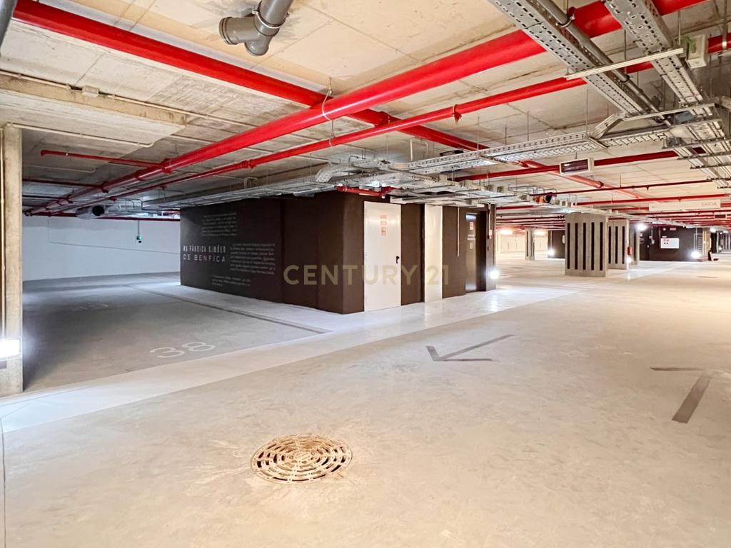T1 Benfica - Image 7
