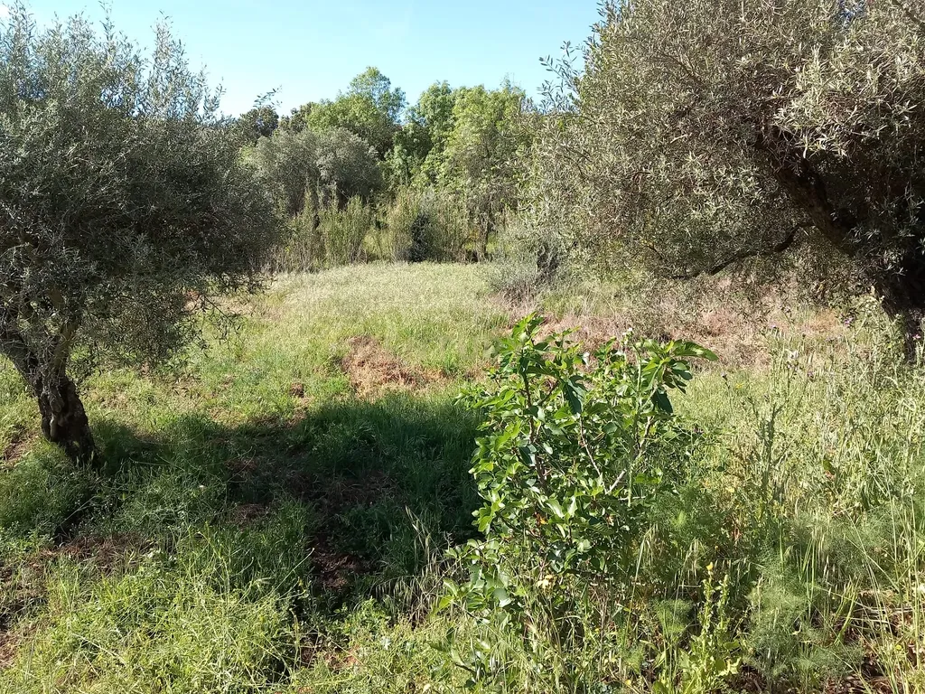 Quintinha em Meimoa, Penamacor - Image 16