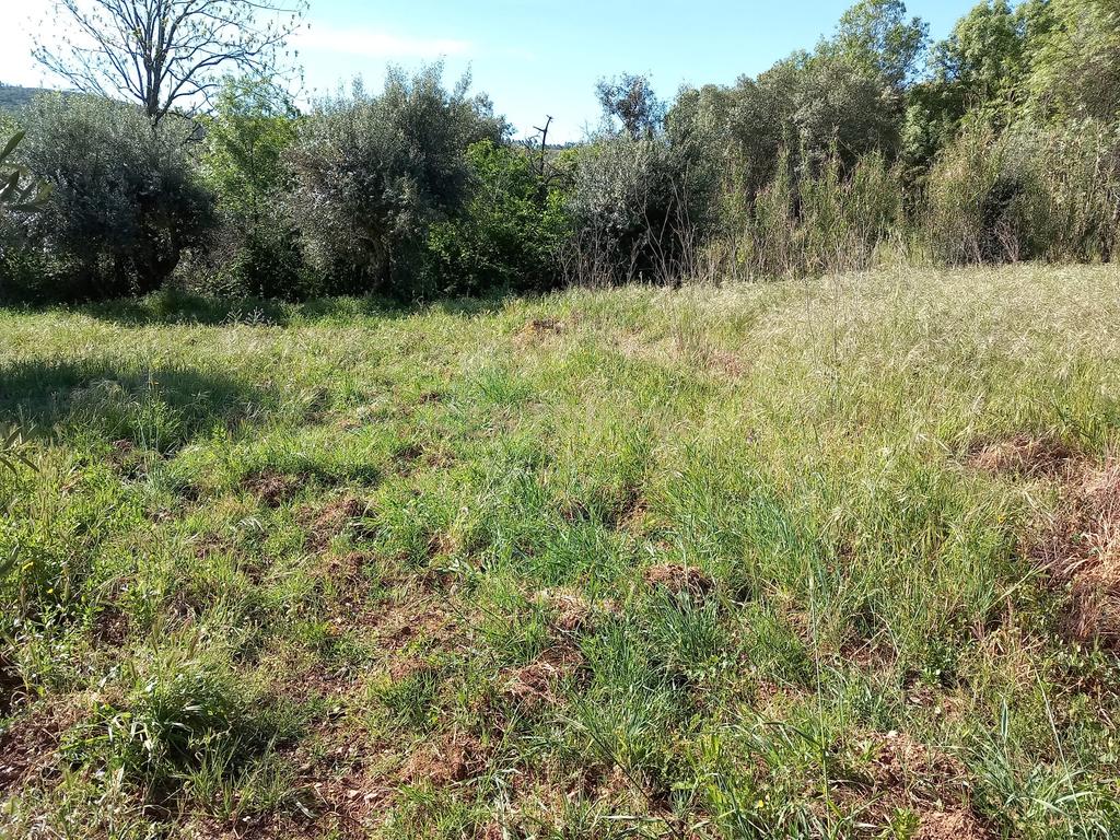 Quintinha em Meimoa, Penamacor - Image 23