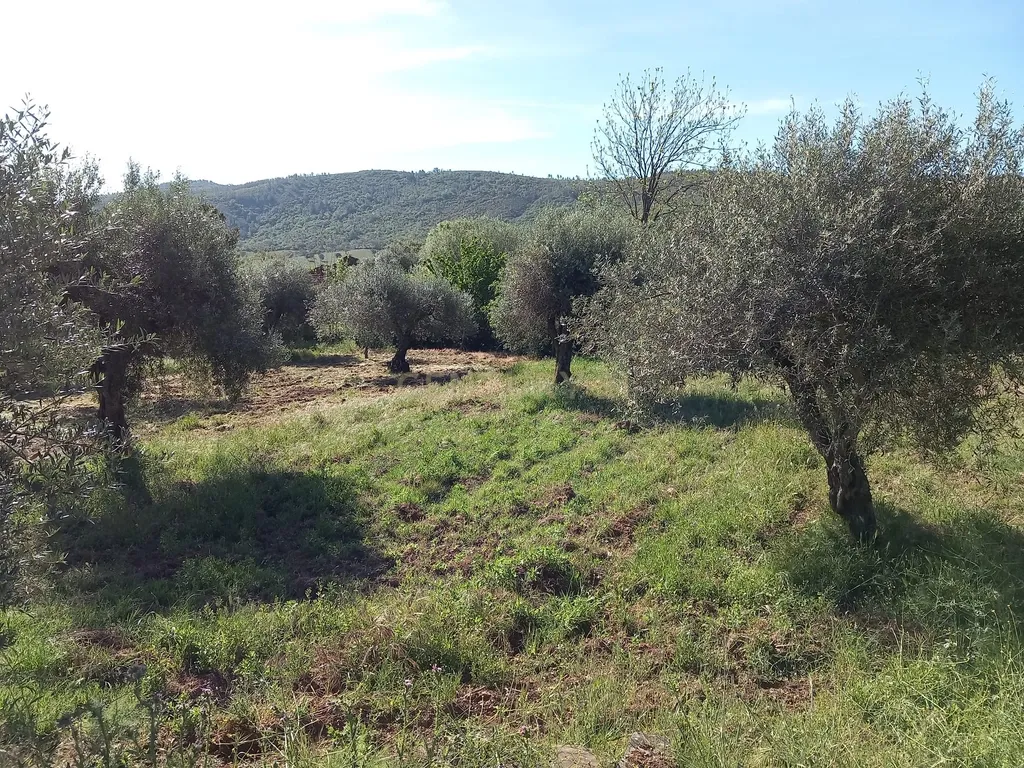 Quintinha em Meimoa, Penamacor - Image 19
