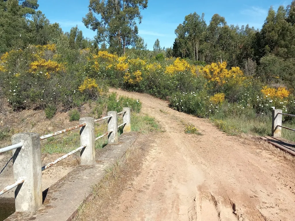 Quintinha em Meimoa, Penamacor - Image 15