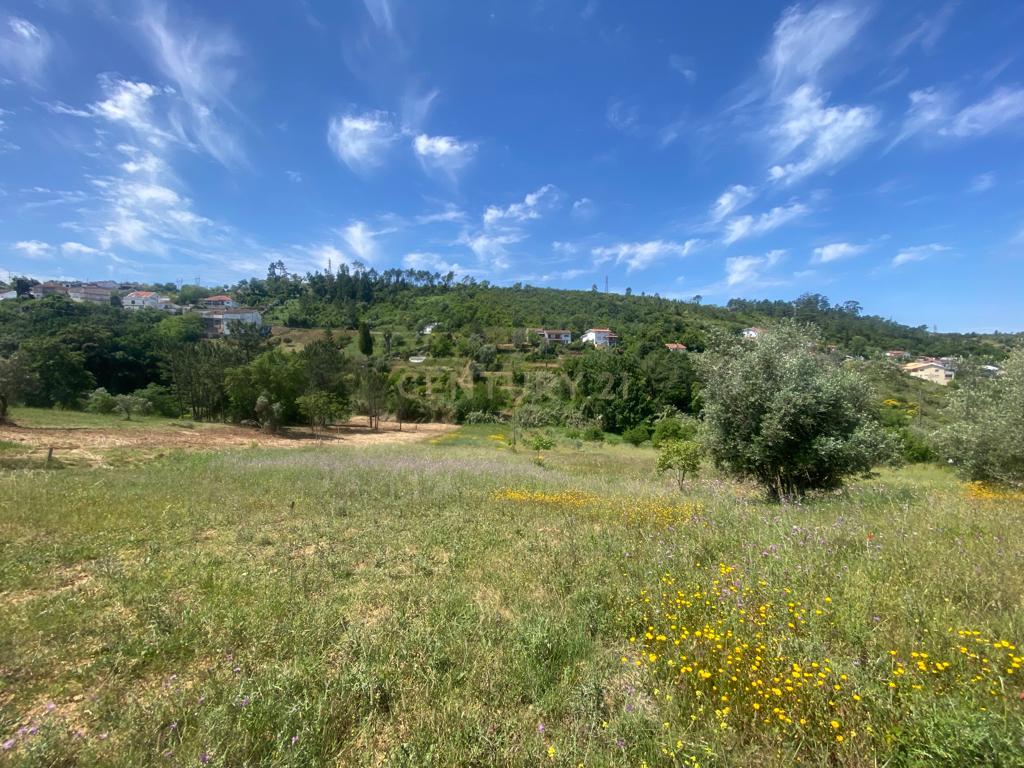 Terreno com projeto aprovado para Construção em Marco dos Pereiros - Santa Clara e Castelo Viegas - Image 2