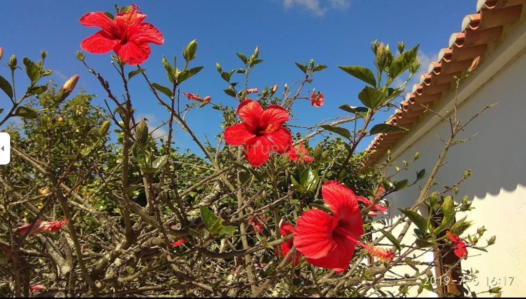 Villa Monte Samoqueiro - Image 26