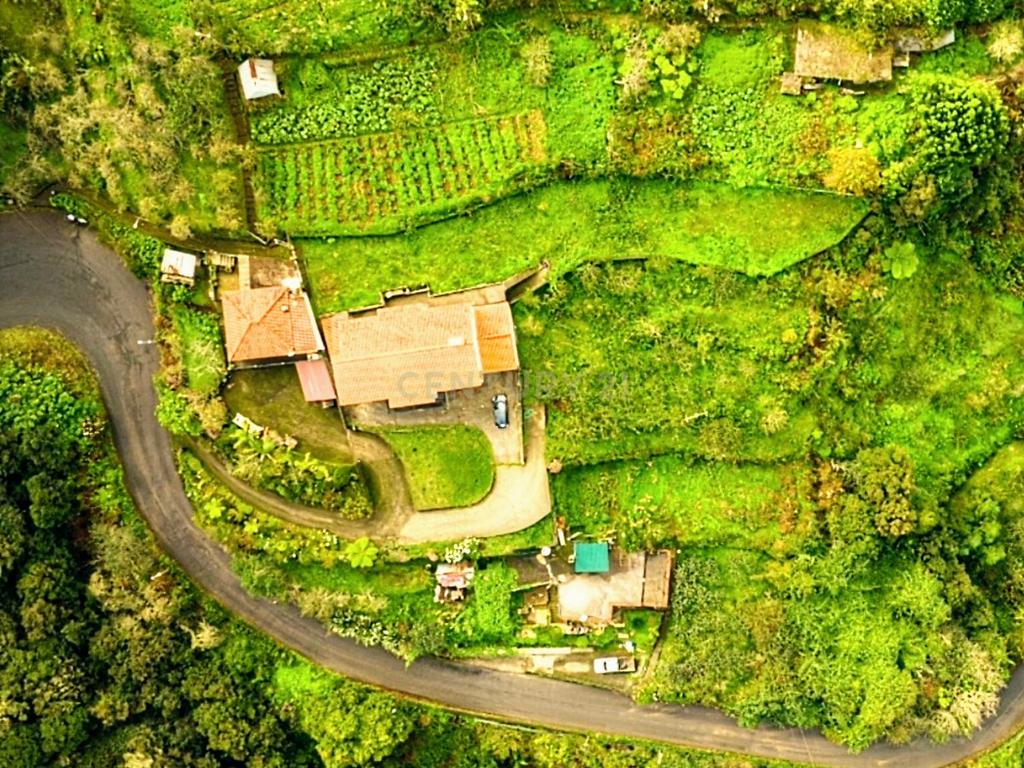 Fantástica Moradia T5 - São Roque do Faial - Santana - Image 25