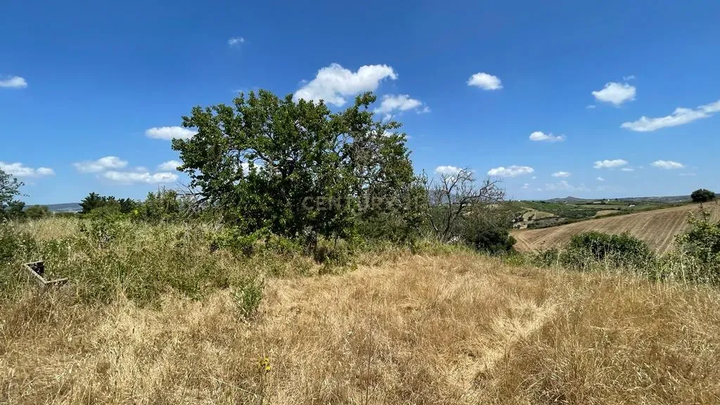 Alenquer - Terreno c/ vista para Serra do Montejunto - Image 10
