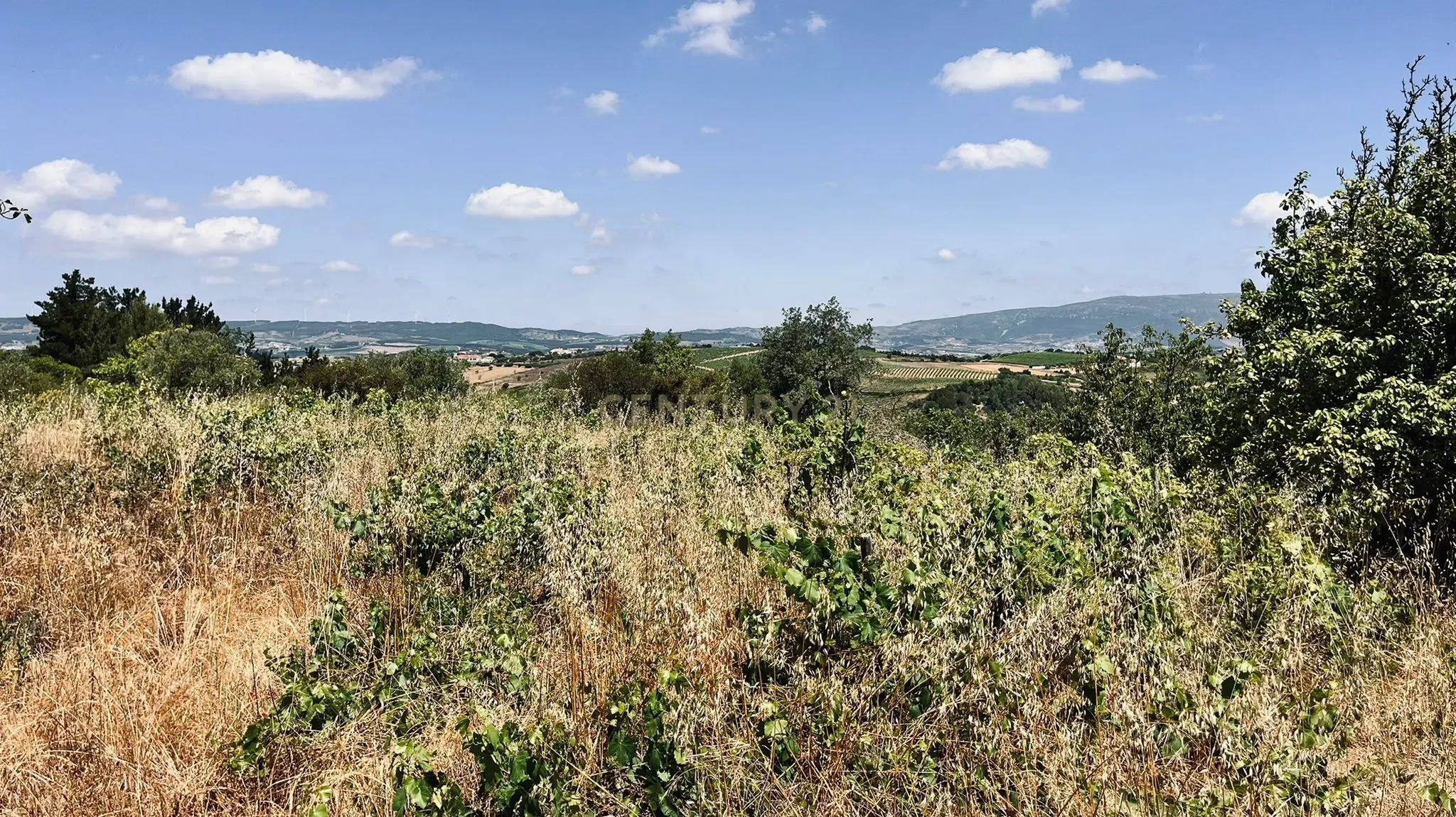 Alenquer - Terreno c/ vista para Serra do Montejunto - Image 6