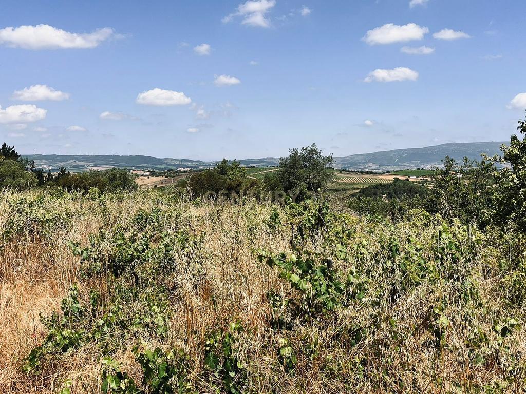 Alenquer - Terreno c/ vista para Serra do Montejunto - Image 6