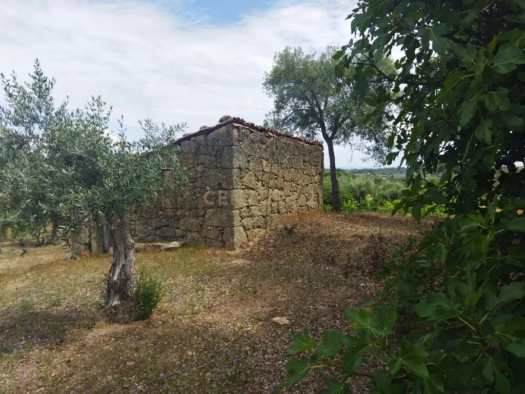 Terreno rústico | Lousa CTB, Castelo Branco - Image 19