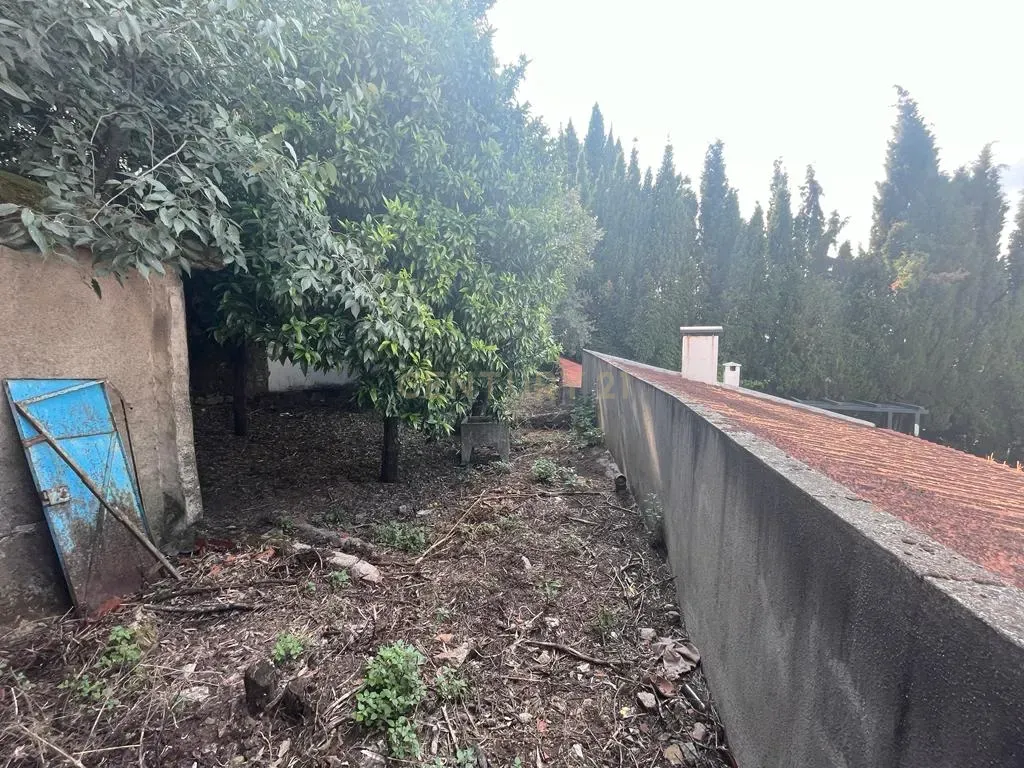 Moradia para reconstruir, Castelo, Castelo Branco - Image 13
