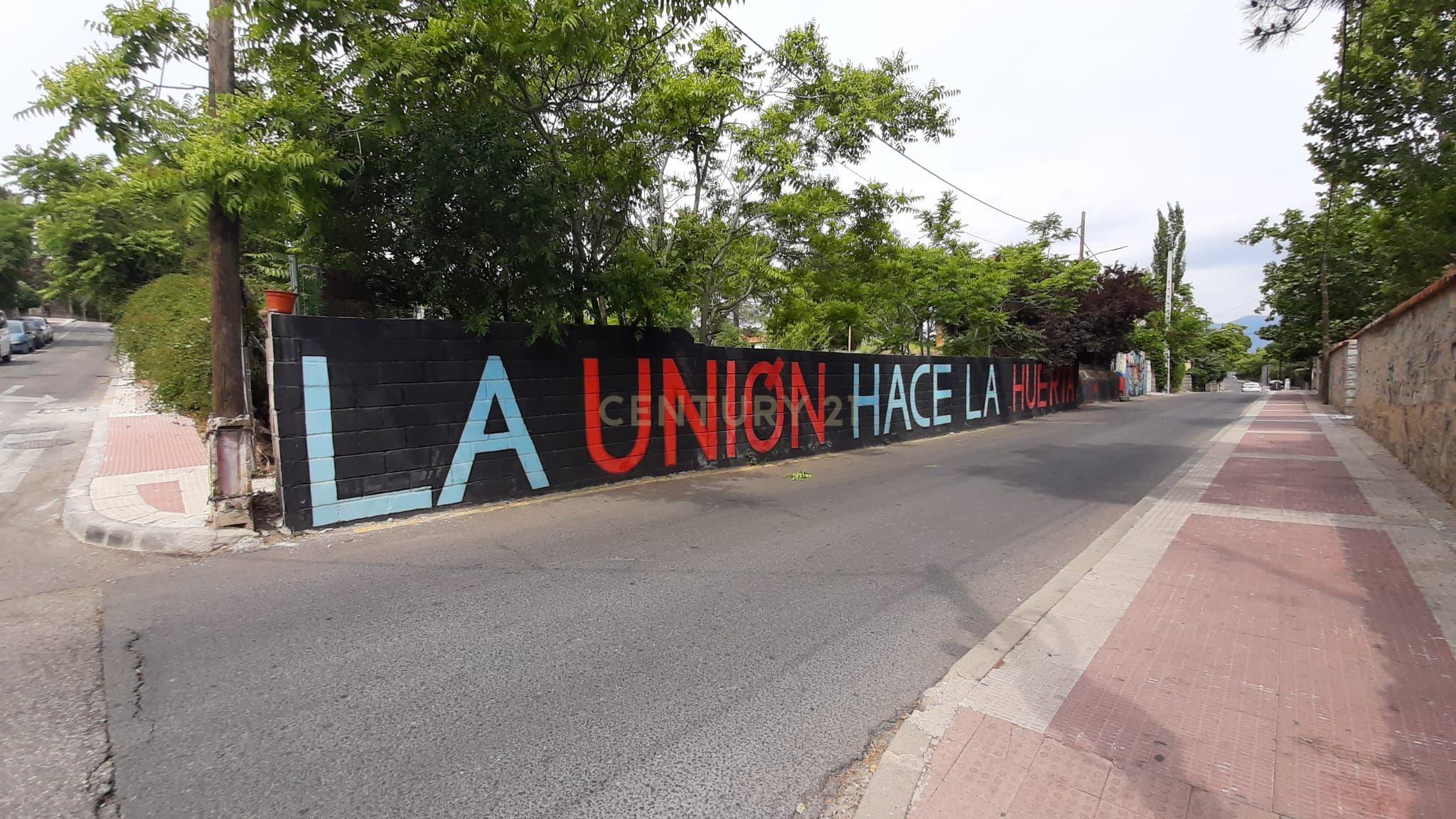 Terreno - Image 16