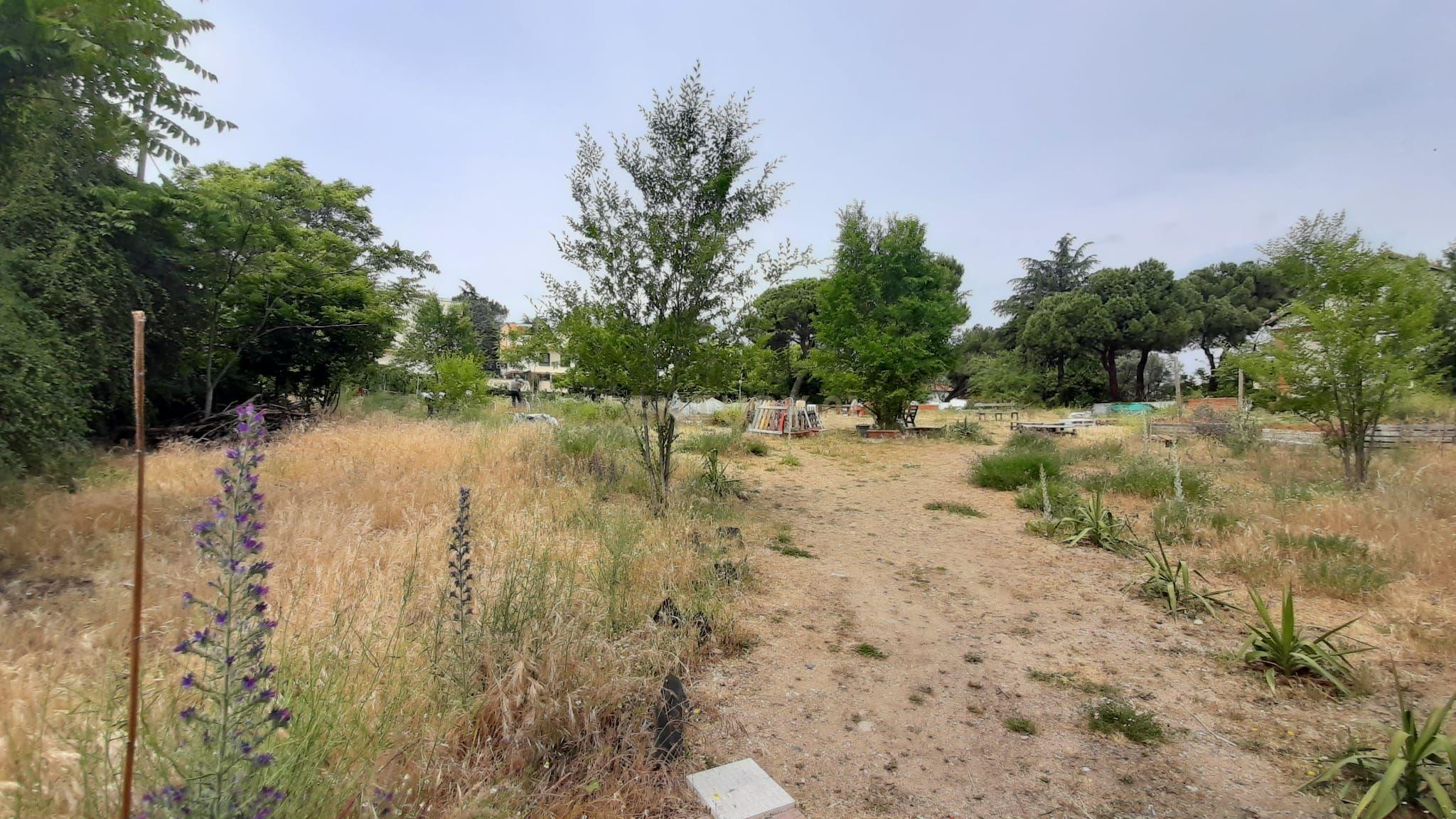 Terreno - Image 5