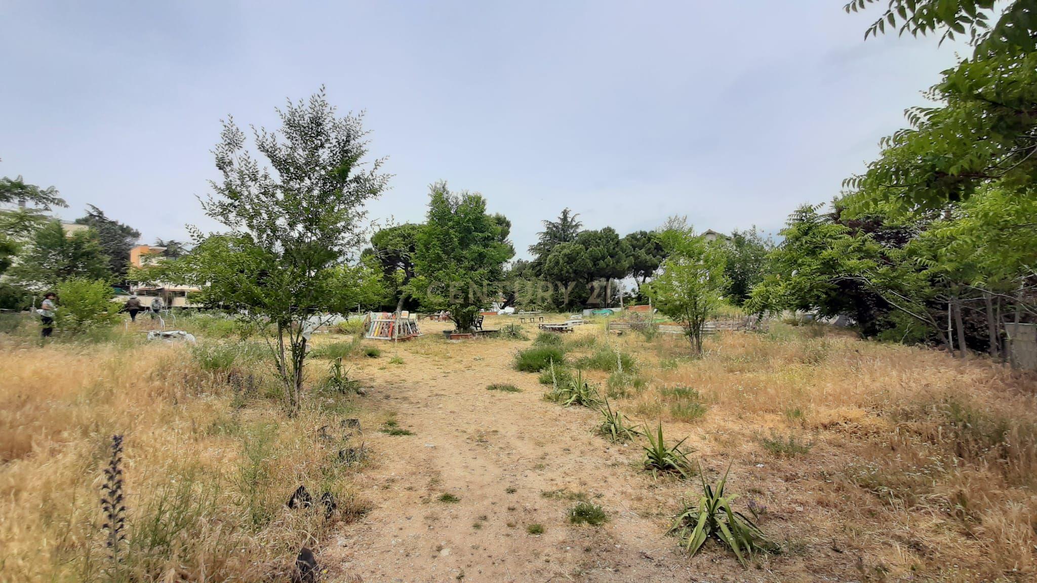 Terreno - Image 6