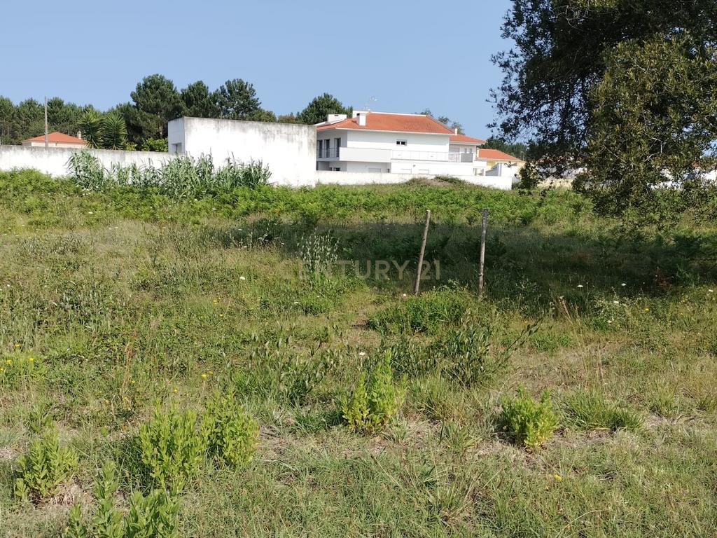 Terreno Urbanizável - Image 1