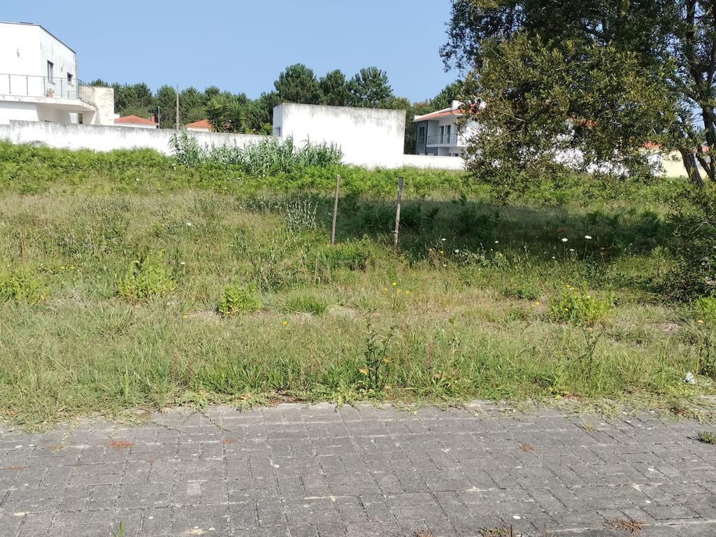 Terreno Urbanizável - Image 6