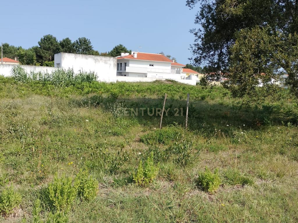 Terreno Urbanizável - Image 4