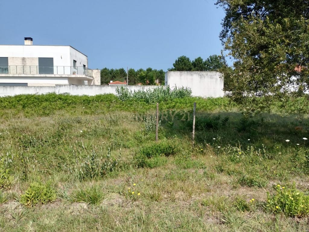 Terreno Urbanizável - Image 3