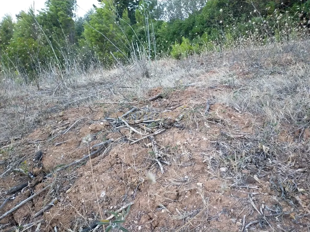 Terreno para construção de Moradias - Image 25