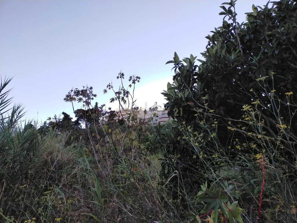 Terreno para construção de Moradias - Image 7