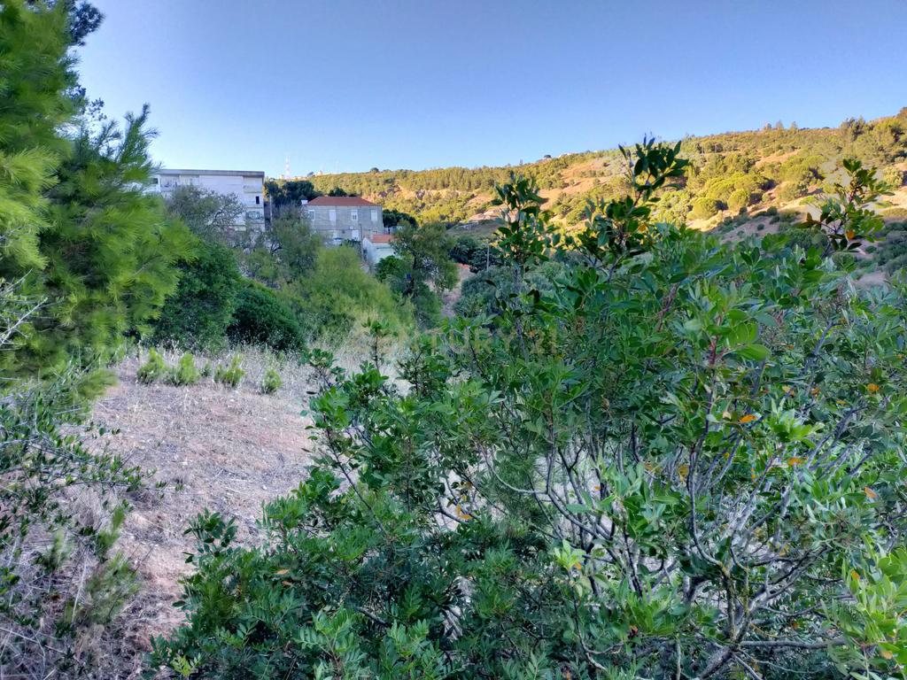 Terreno para construção de Moradias - Image 18