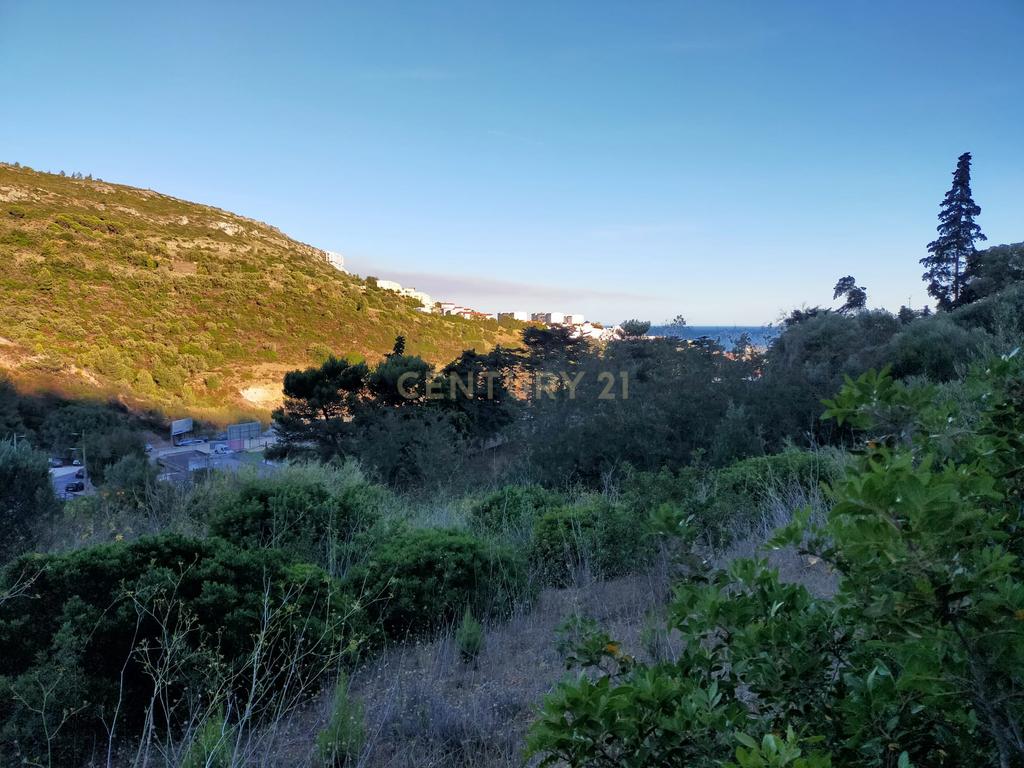 Terreno para construção de Moradias - Image 2