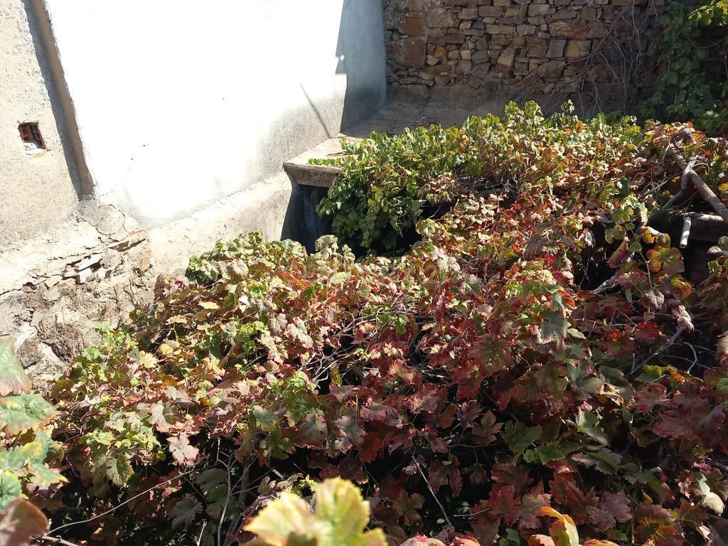 Moradia em Banda para reconstrução, Monforte da Beira, Castelo Branco - Image 8