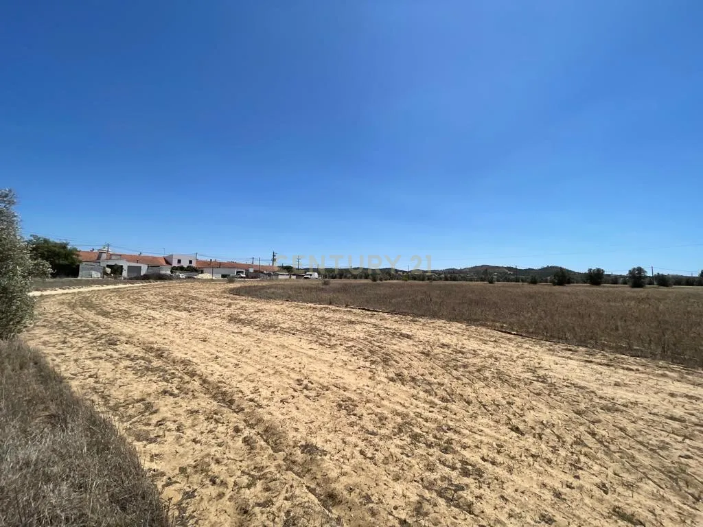 Terreno - Image 4