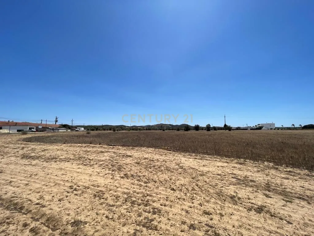 Terreno - Image 5