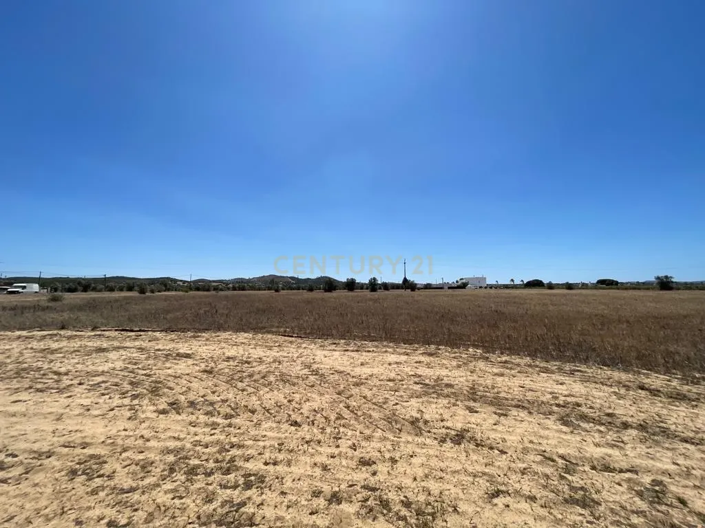 Terreno - Image 6
