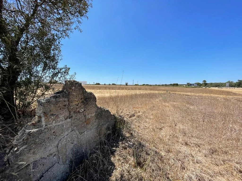 Terreno - Image 3