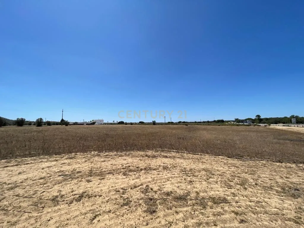 Terreno - Image 8