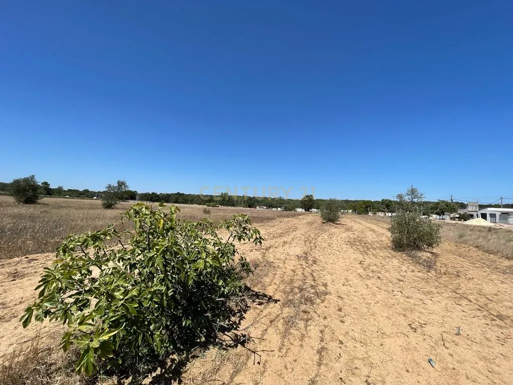 Terreno - Image 11