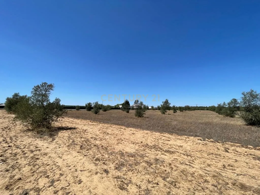 Terreno - Image 12