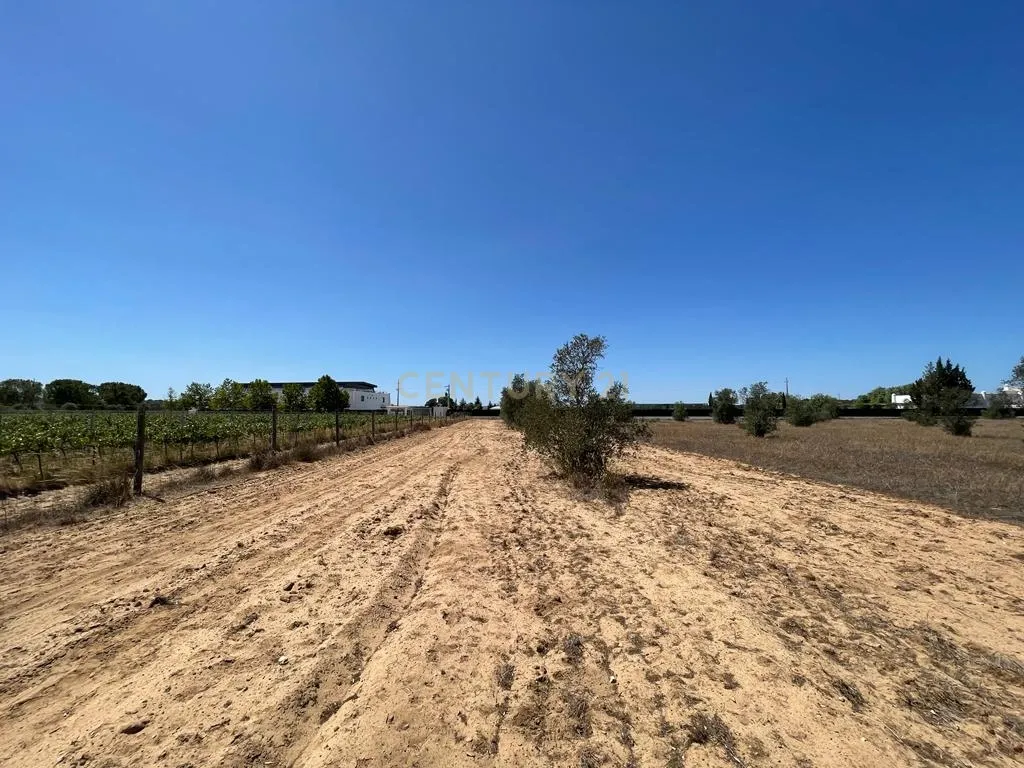 Terreno - Image 17