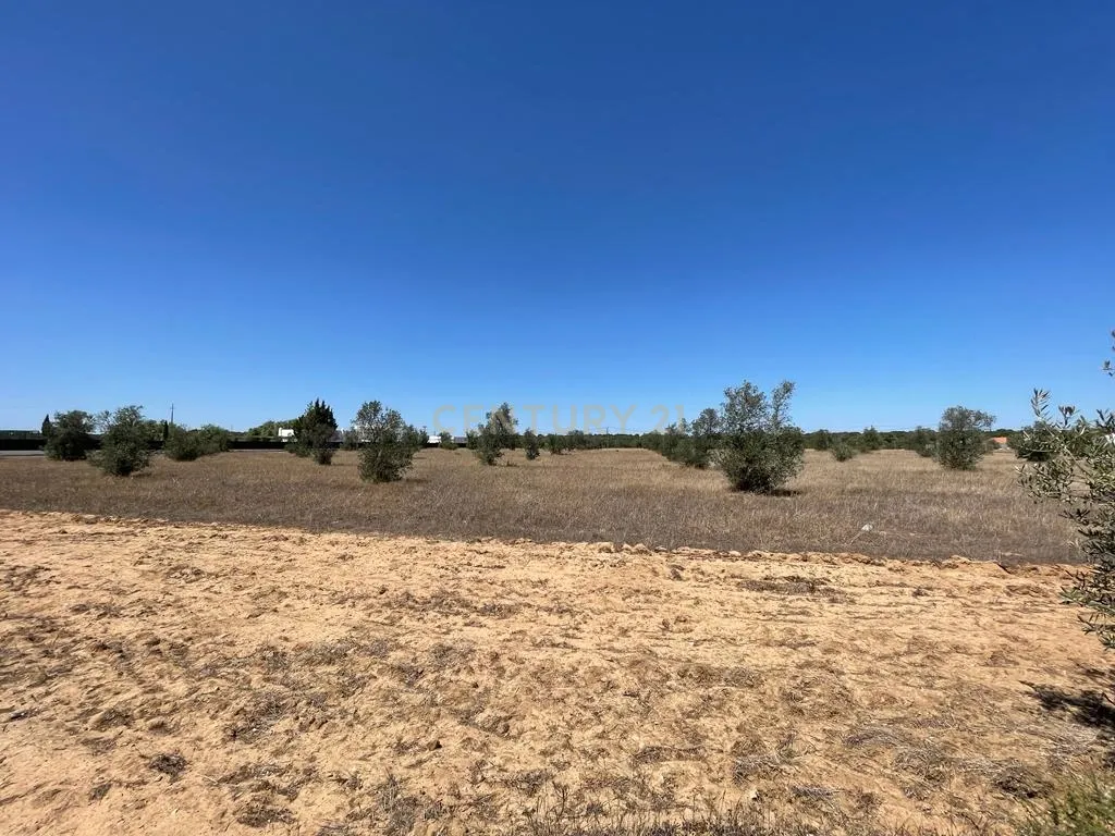 Terreno - Image 15