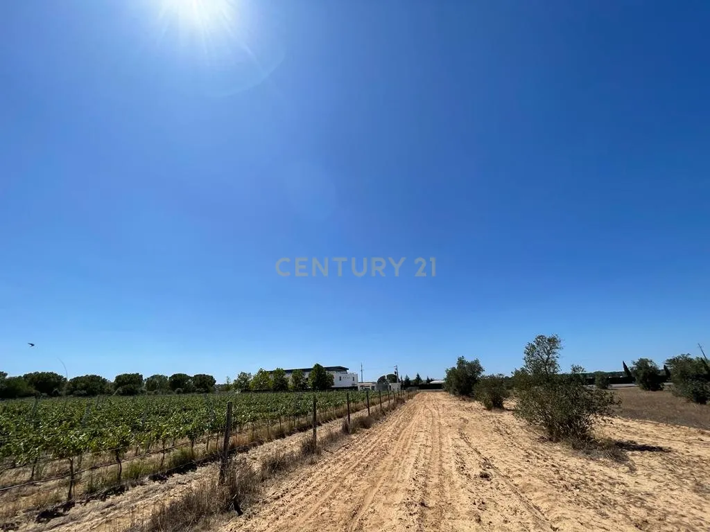 Terreno - Image 18