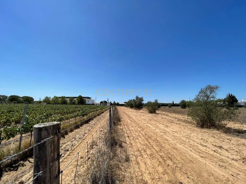 Terreno - Image 16