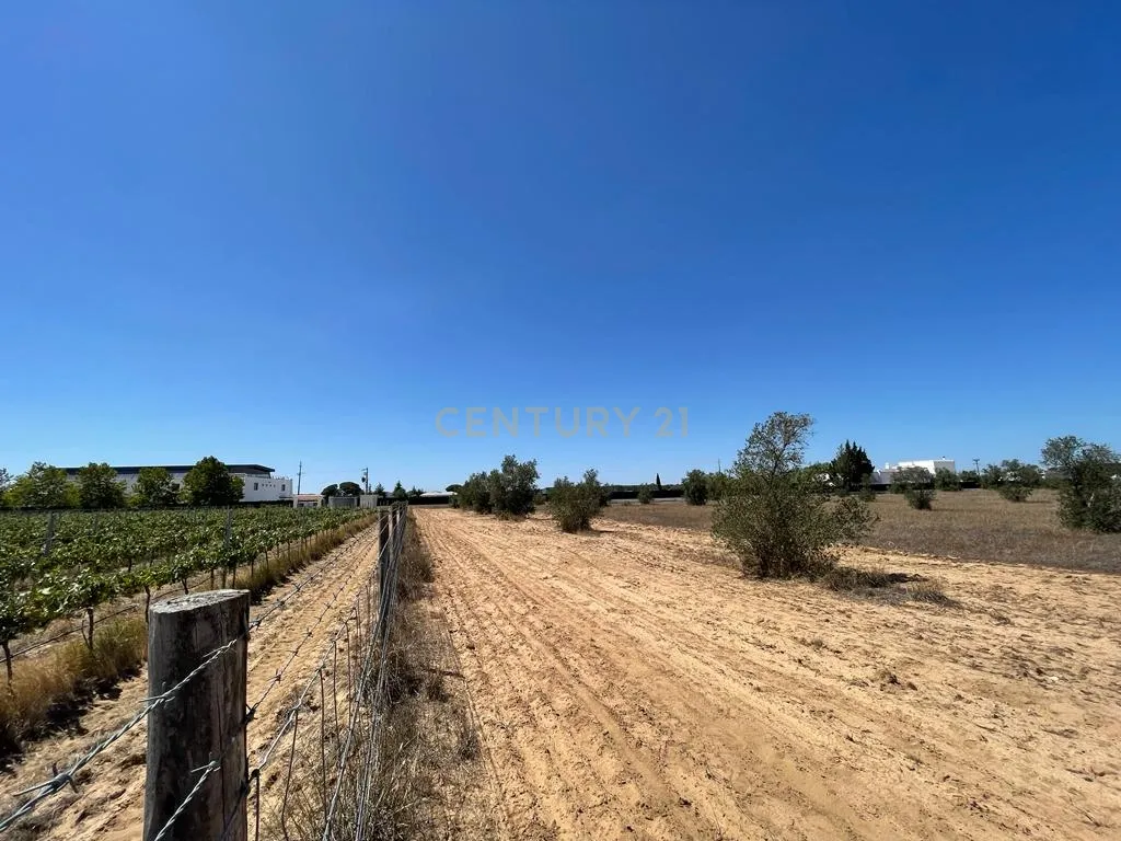 Terreno - Image 14