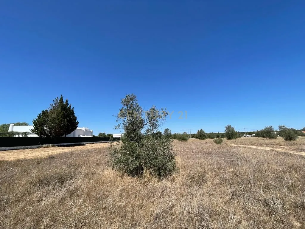Terreno - Image 13
