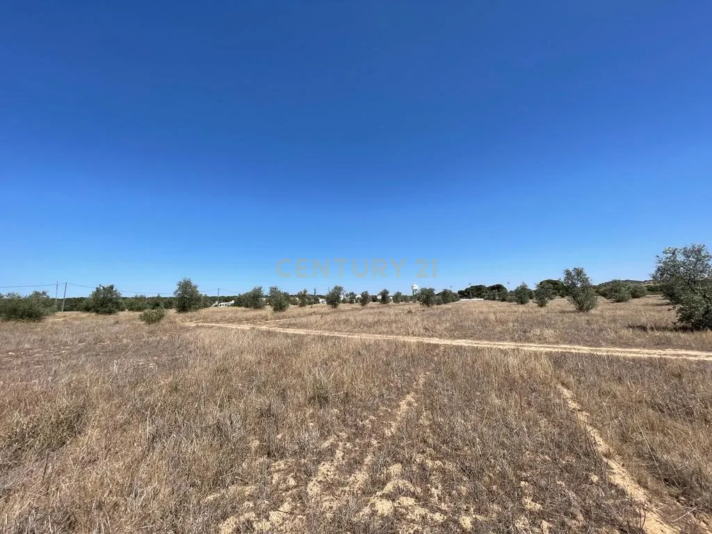 Terreno - Image 19
